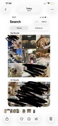 Reunited Male Dog last seen Windy hill road and Cherrywood Ln SW, Marietta, GA 30060