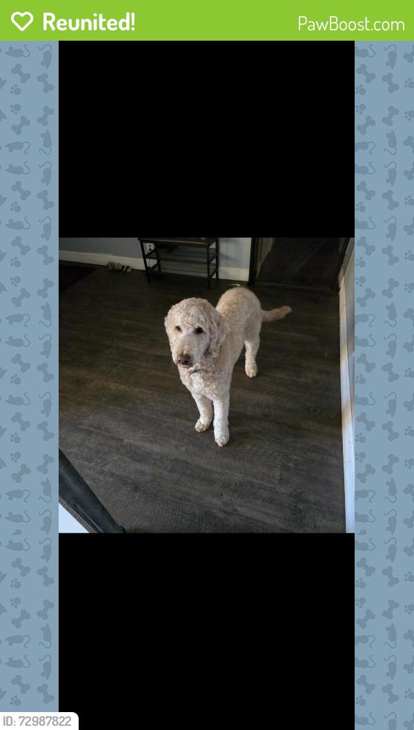 Reunited Male Dog last seen Near Granite Ave, Riverside, CA 92508, USA, Riverside, CA 92508