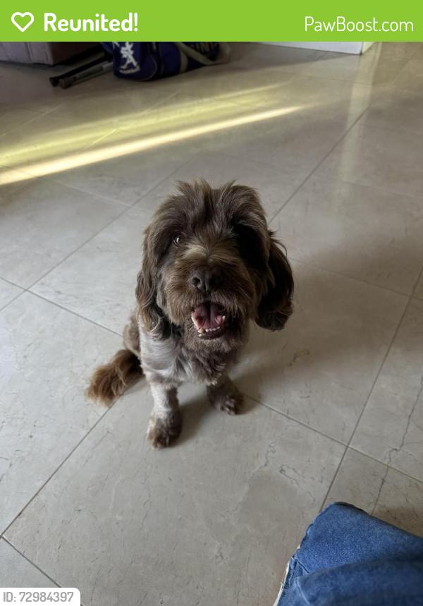Reunited Male Dog last seen Kempton Literacy Academy , Spring Valley, CA 91977