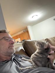 Reunited Female Cat last seen Blue ridge circle, Newark de, Newark, DE 19702