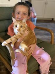Reunited Male Cat last seen Brewster, College Station, TX 77845