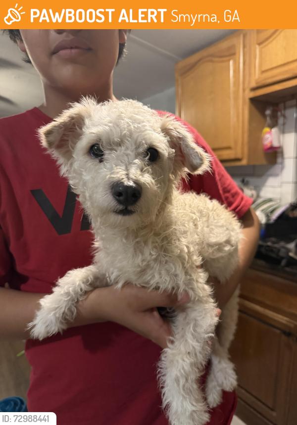 Found/Stray Male Dog last seen South Cobb drive , Smyrna, GA 30082