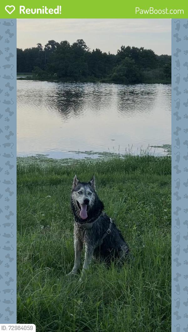 Reunited Male Dog last seen Lake Holcomb / Imperial Oaks , Spring, TX 77373