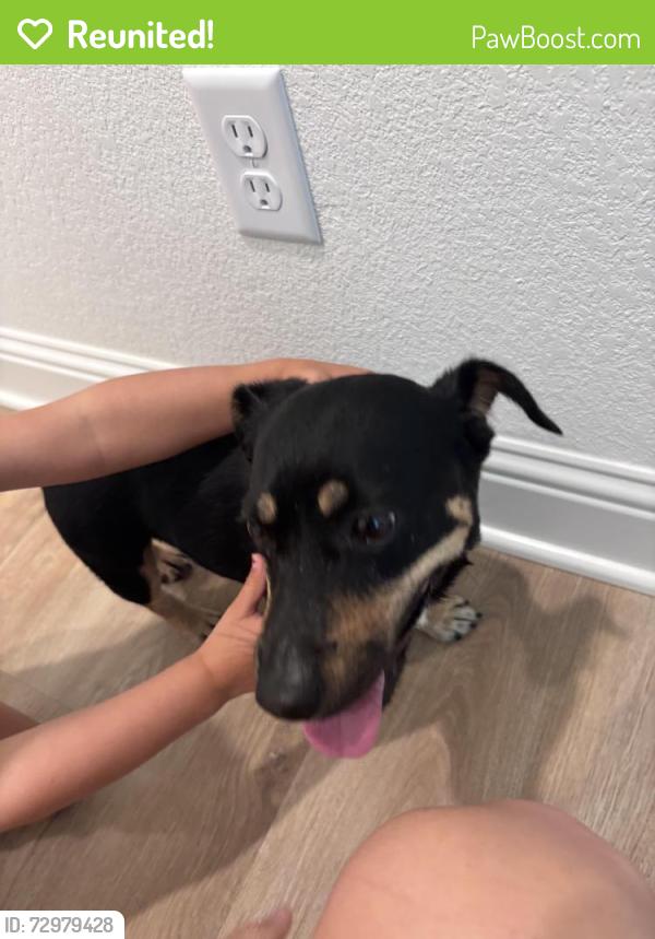 Reunited Male Dog last seen Greens prairie elementary , College Station, TX 77845