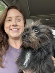 Found/Stray Male Dog last seen Cutten Green Neighorhood, Houston, TX 77066