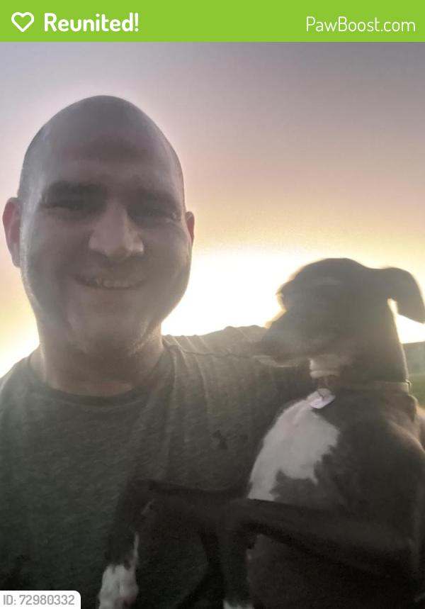 Reunited Female Dog last seen City Park, New Orleans, LA 70124