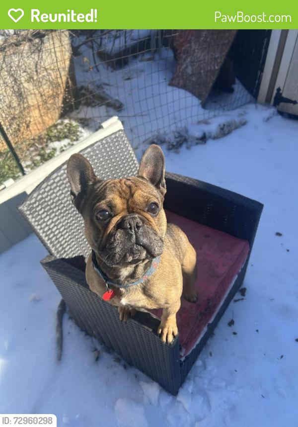 Reunited Male Dog last seen Jack b quick, Morganton, NC 28655