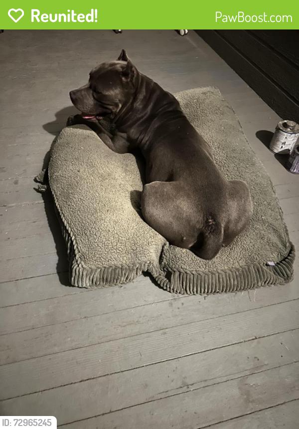 Reunited Male Dog last seen Park and Center, Visalia, CA 93291