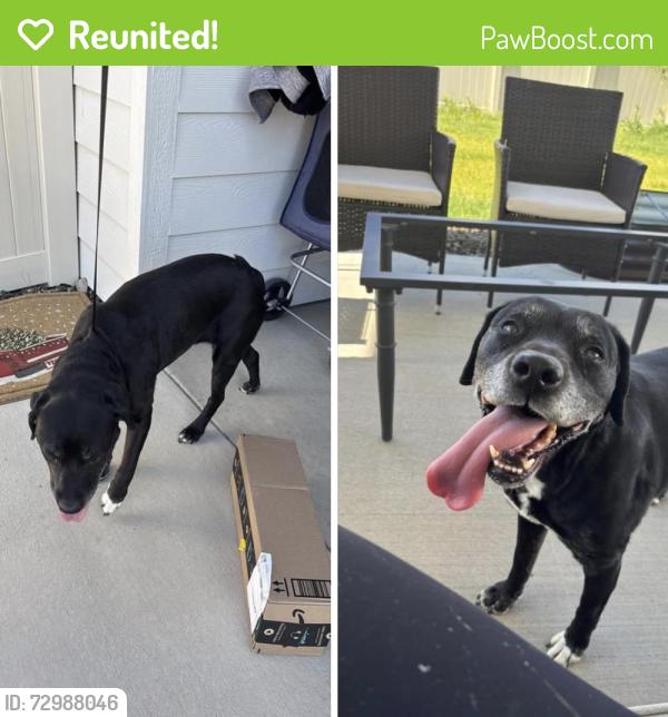 Reunited Female Dog last seen HWY 44 and Can Ada, Star, ID 83669