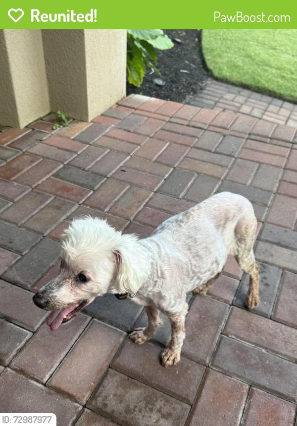 Reunited Unknown Dog last seen Marina Village Sub , Enterprise Rd, League City, TX 77573