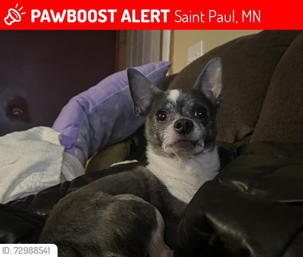 Lost Male Dog last seen Minnehaha ave e & Cypress, Saint Paul, MN 55106