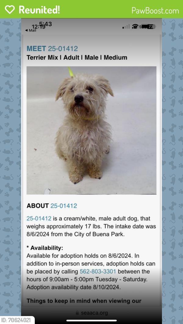 Reunited Male Dog last seen Myra Avenue and Holder Street, Buena Park, CA 90620