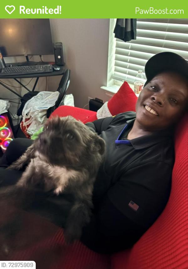Reunited Female Dog last seen Sherman and Hercules, Denton, TX 76209
