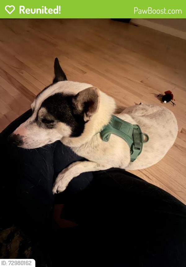 Reunited Female Dog last seen E Quincy rd & S Buckley Rd, Aurora, CO 80013