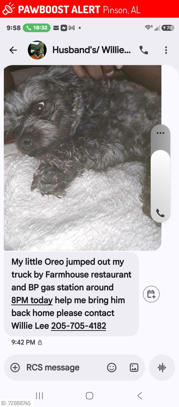 Lost Male Dog last seen Near purple heart Blvd  Marietta road  Springville Alabama , Pinson, AL 35126