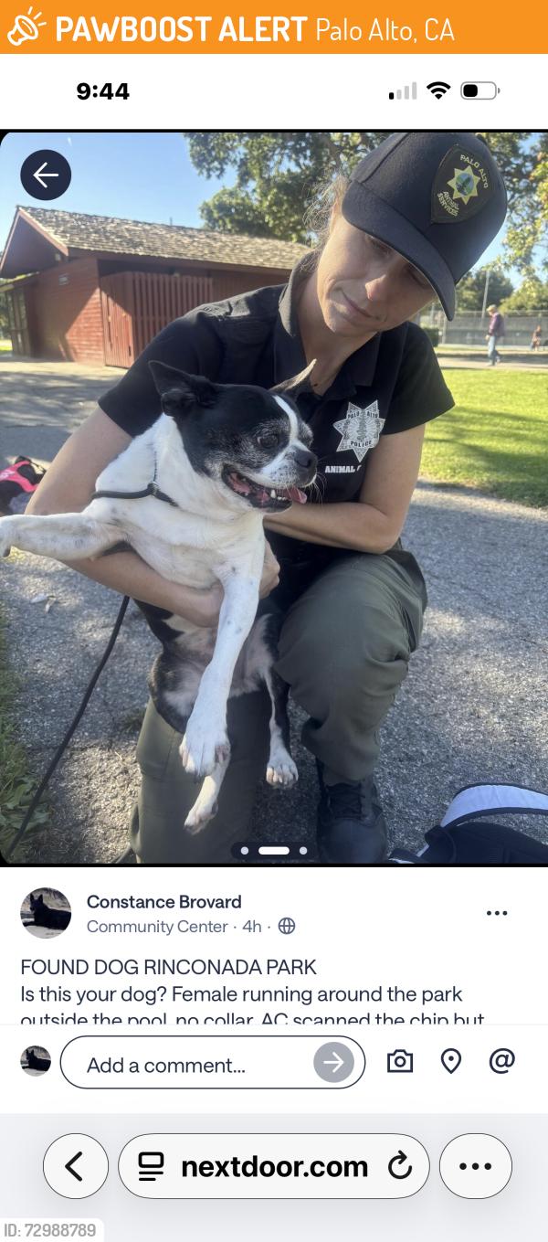Found/Stray Female Dog last seen Embarcadero Rd. & Newell Rd. Palo Alto, Palo Alto, CA 94303