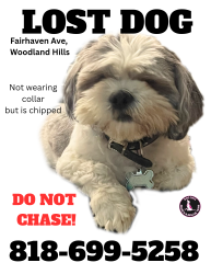 Reunited Male Dog last seen Valerie & Valley Circle, Los Angeles, CA 91367
