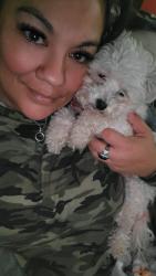 Reunited Female Dog last seen Near Highland Vw, New Braunfels, TX 78130, USA, New Braunfels, TX 78130