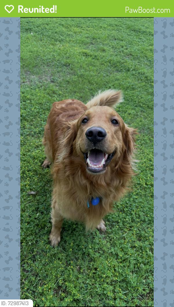 Reunited Male Dog last seen Road Runner Road , Anna, TX 75409