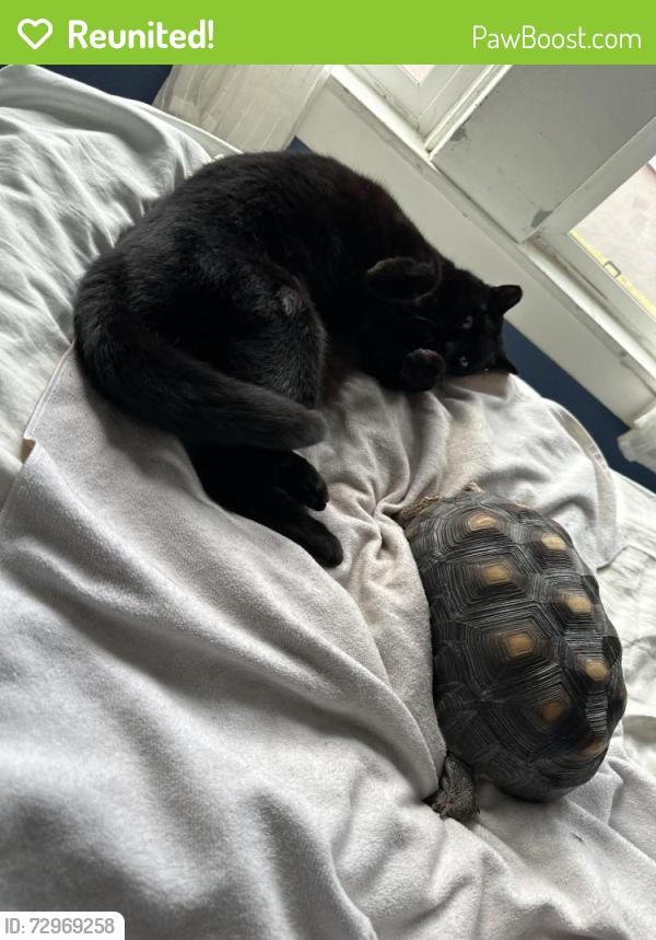 Reunited Female Other last seen Near Mabel, Berkeley CA 94702, Berkeley, CA 94702