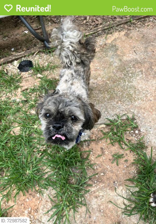 Reunited Male Dog last seen Se14th place , Del City, OK 73115