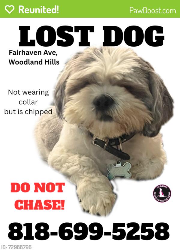 Reunited Male Dog last seen Valerie & Valley Circle, Los Angeles, CA 91367