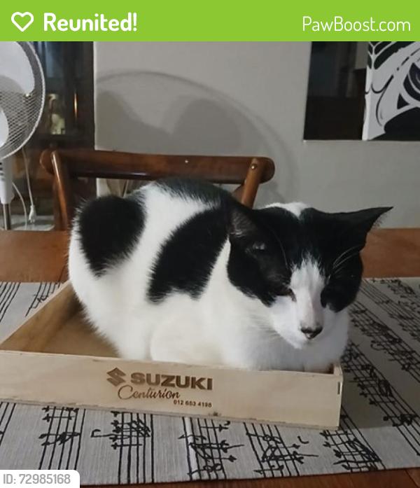 Reunited Male Cat last seen KSM, Centurion, GP 0051