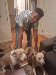 Reunited Male Dog last seen Cherokee school, Cedartown, GA 30125