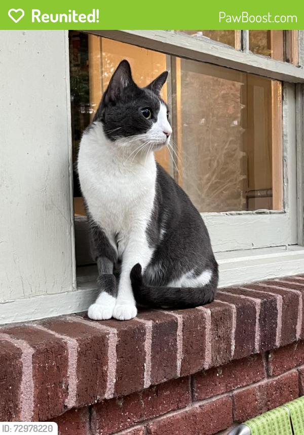 Reunited Male Cat last seen Ponce de Leon court near glenwood school, Decatur, GA 30030