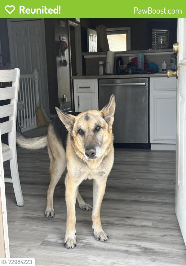 Reunited Male Dog last seen Van Duzer, Staten Island, NY 10304