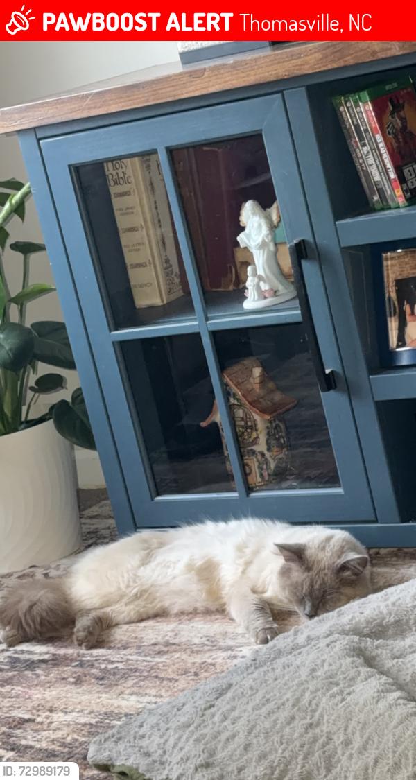 Lost Male Cat last seen At our address on Koontz Ave in Thomasville, Thomasville, NC 27360