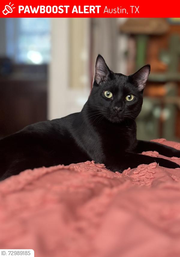 Lost Male Cat last seen Manor Rd, Austin, TX and Curtis. Or E 22nd St and Alexander St. , Austin, TX 78722