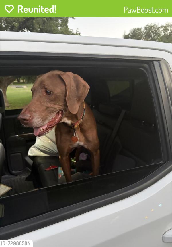 Reunited Male Dog last seen Windgate Ranch neighborhood, San Antonio, TX 78254