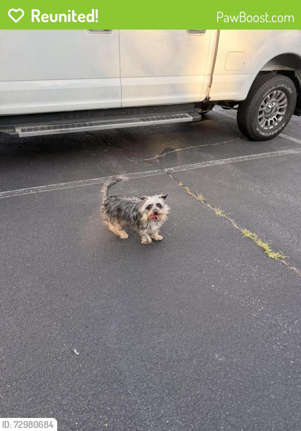 Reunited Female Dog last seen Between S Caldwell and North Caldwell, Salisbury, NC 28144