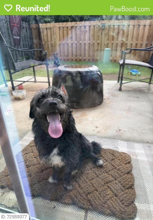 Reunited Unknown Dog last seen Heritage Park , Simpsonville, SC 29681