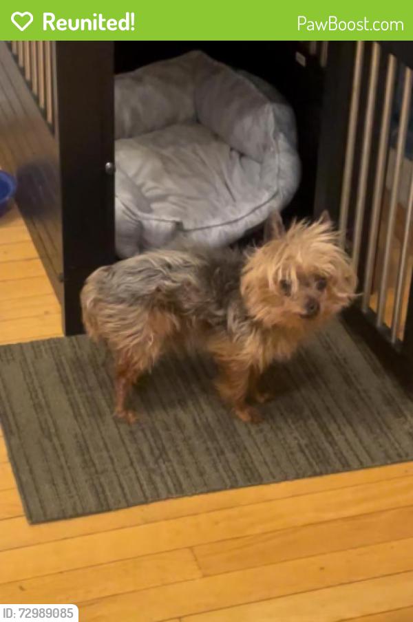 Reunited Male Dog last seen Buddy got out the hse this morning through the garage. Now we can’t find him. Please help., Warren, MI 48091