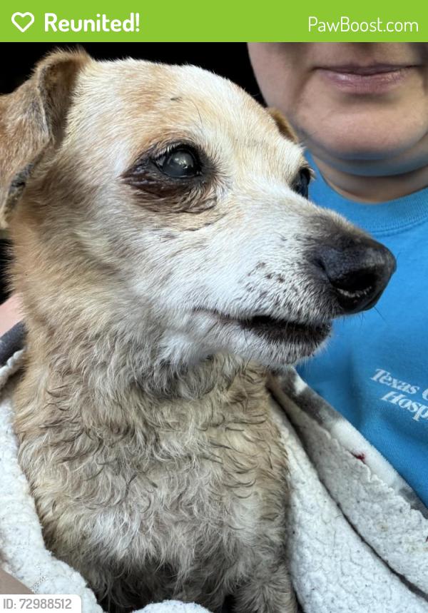 Reunited Male Dog last seen Plantain and Hibiscus, off 1660, Hutto, TX 78634