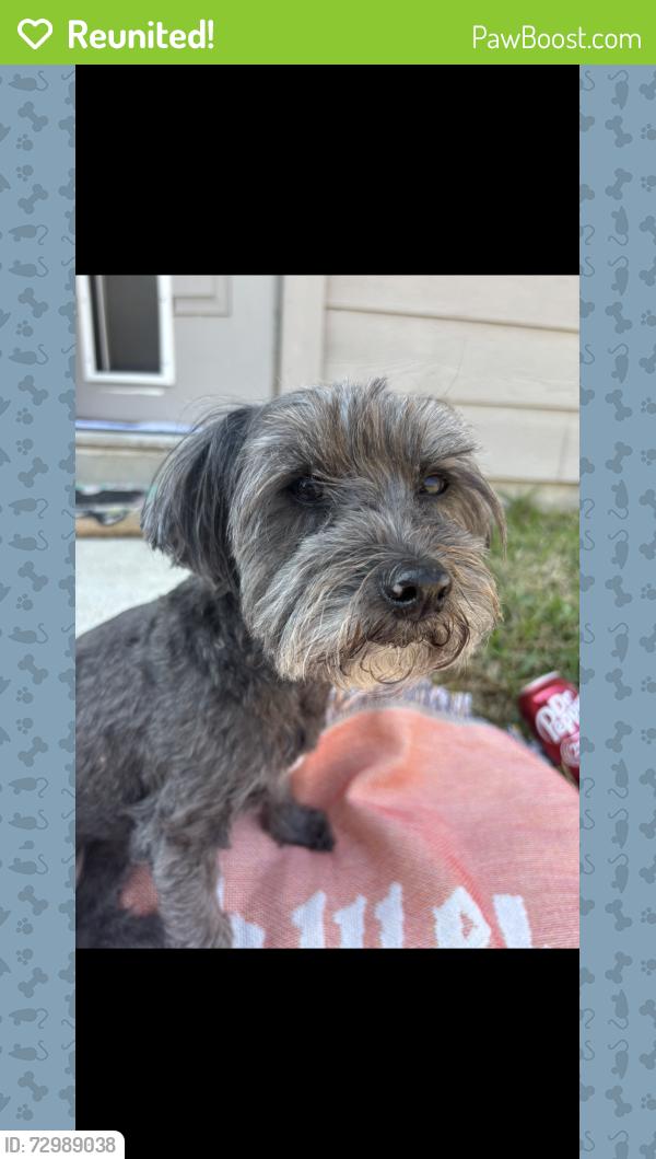 Reunited Female Dog last seen Near Ruby Bramble Trail, Katy, TX 77493, USA, Katy, TX 77493