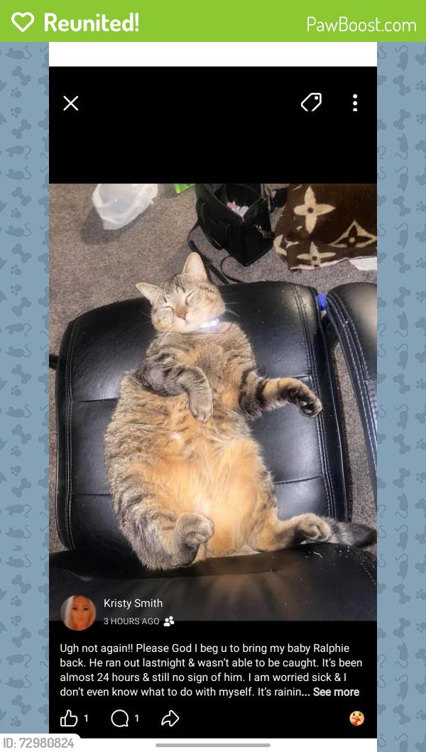 Reunited Male Cat last seen Near 8th street the colonial , Saskatoon, SK S7H 0S7