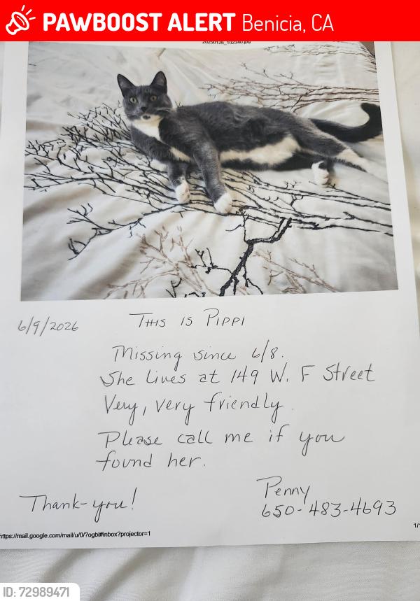 Lost Female Cat last seen 1st street benicia, Benicia, CA 94510