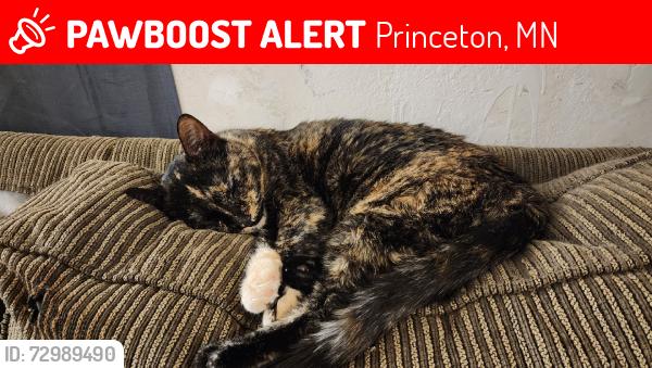 Lost Female Cat last seen Parking lot, Princeton, MN 55371