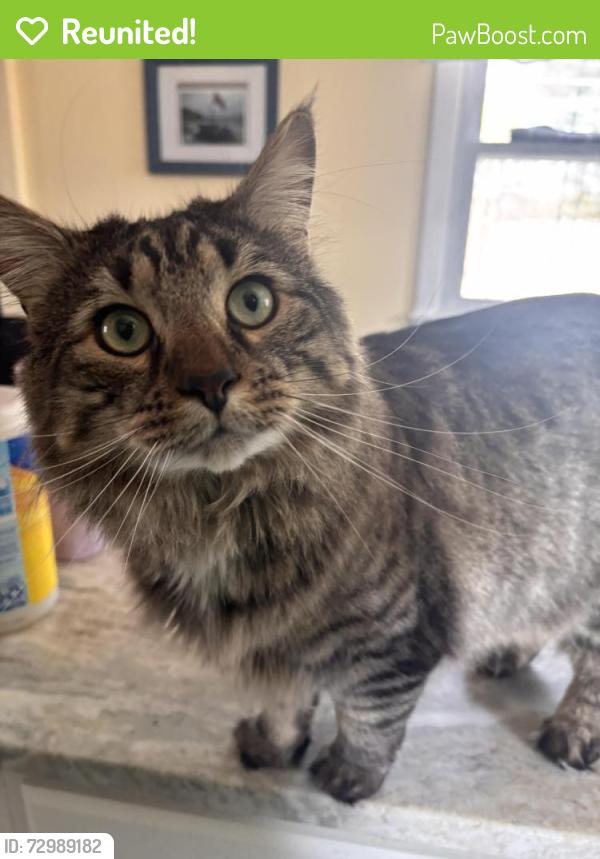 Reunited Male Cat last seen Came One, Waste Water Treatment plant, Sawmill Rd, Nashua, NH 03060
