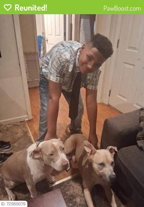 Reunited Male Dog last seen Cherokee school, Cedartown, GA 30125