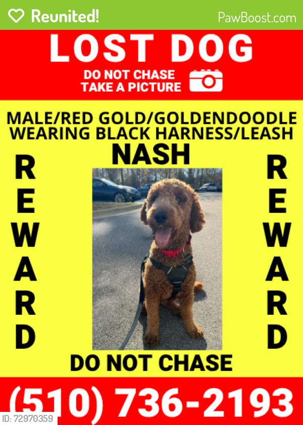 Reunited Male Dog last seen Oliver Falls Ln and Taylor Rd, Wendell, NC 27591