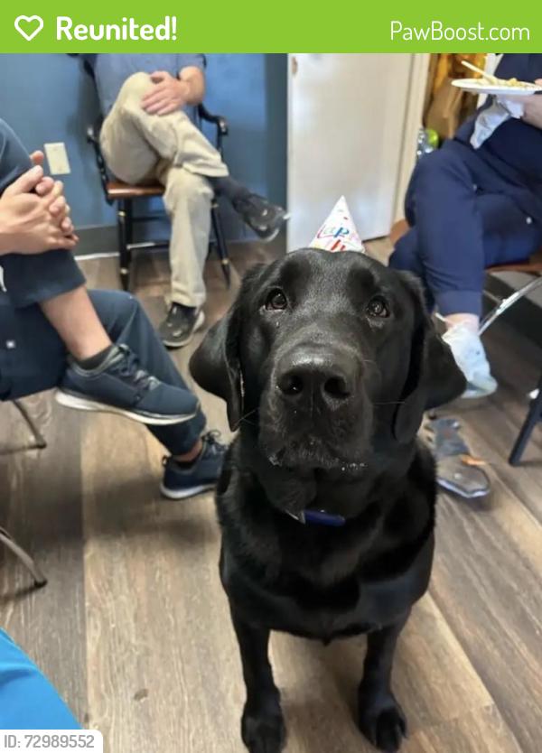 Reunited Male Dog last seen Near Baldwin Rd, Richmond, VA 23229, USA, Richmond, VA 23229