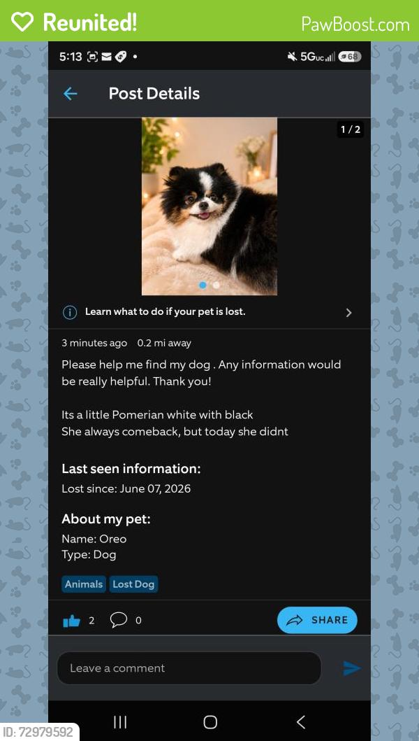 Reunited Female Dog last seen Inkopah and monserate , Chula Vista, CA 91911