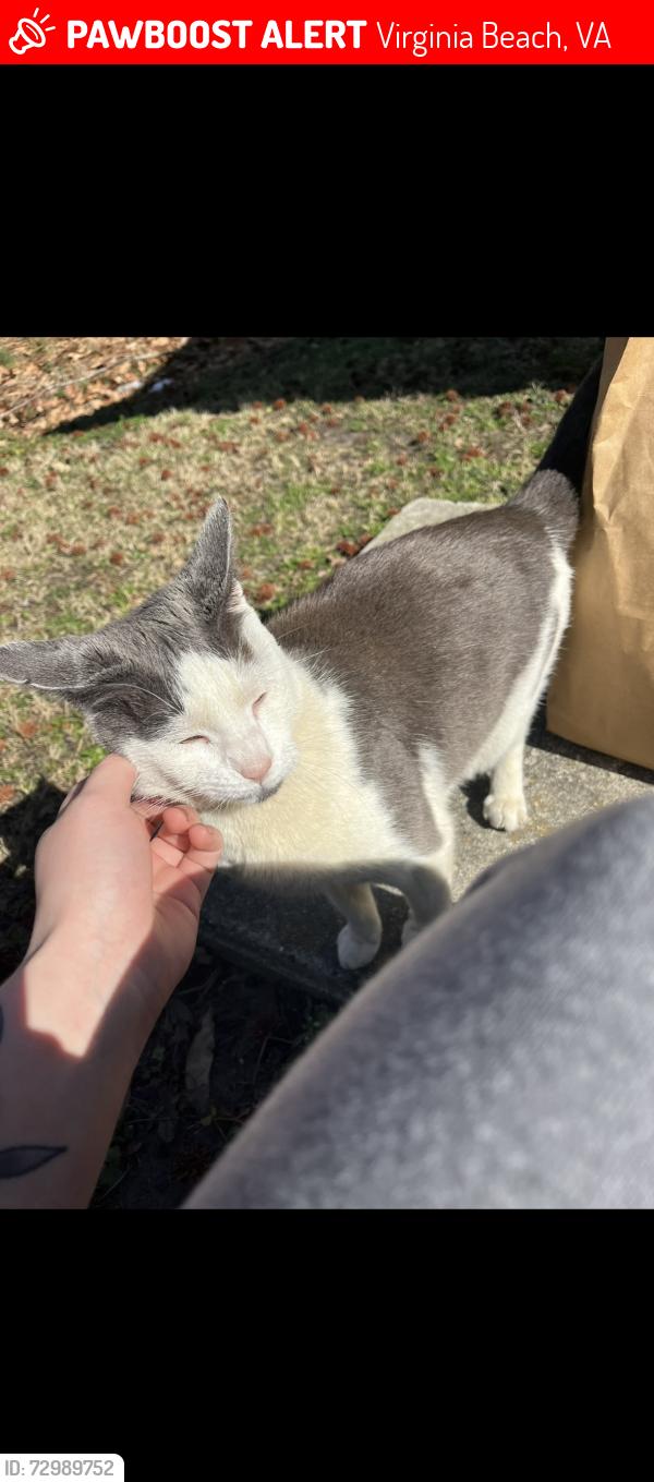 Lost Male Bird last seen parks avenue , Virginia Beach, VA 23451