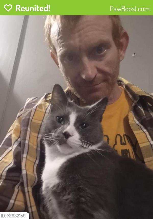 Reunited Male Cat last seen Near uniontown high-school uniontown p.a, Uniontown, PA 15401