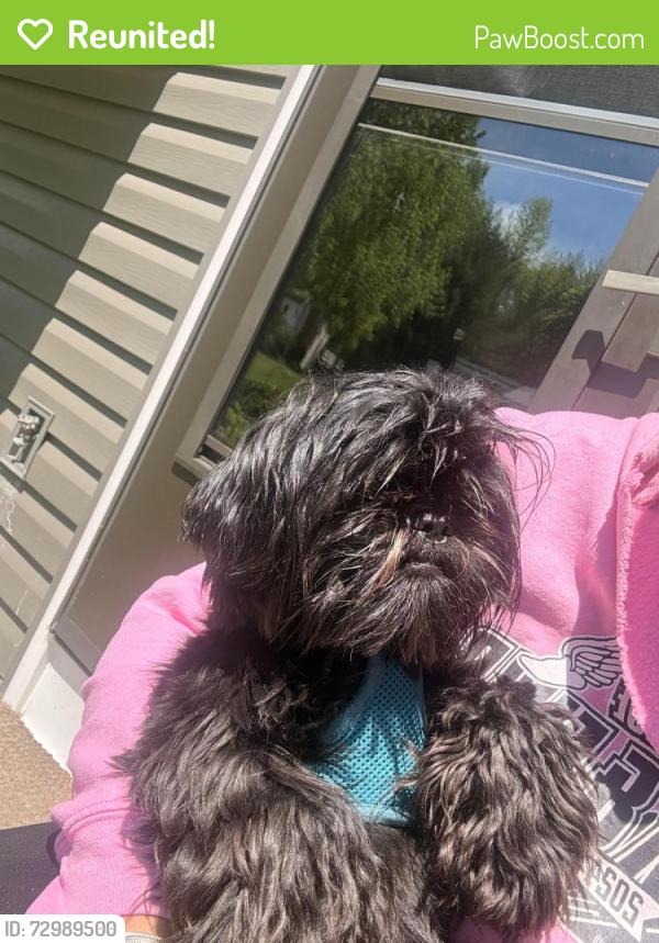 Reunited Female Dog last seen Maple Heights close to Bedford border (broadway), Maple Heights, OH 44137