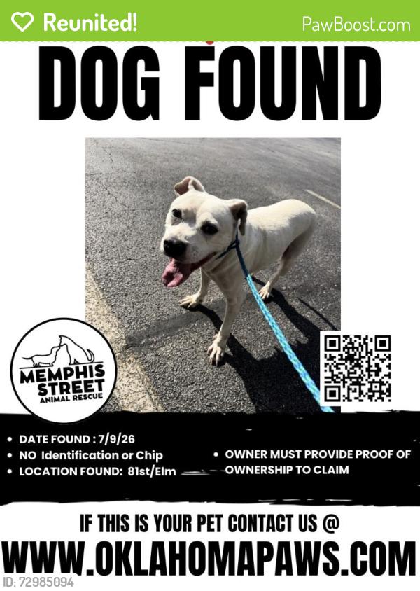 Reunited Unknown Dog last seen 81st/Elm, Broken Arrow, OK 74012